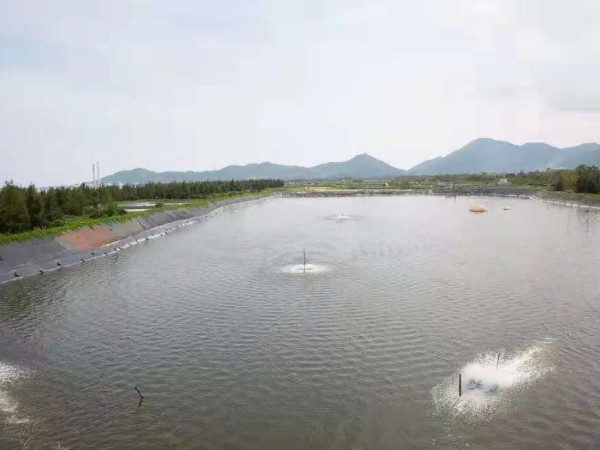 淺要分析氨氮毒理?。?！
